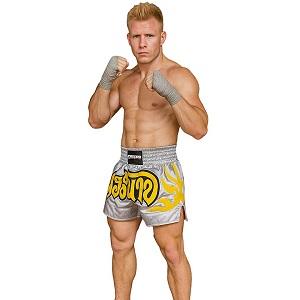 FIGHTERS - Muay Thai Shorts / Silber-Grau / Medium